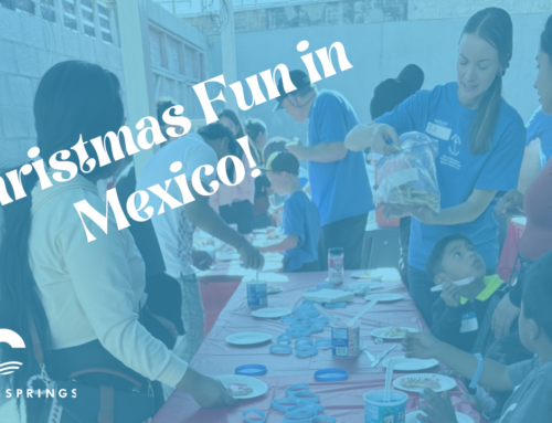 A Recap of Christmas in Mexico – 2024