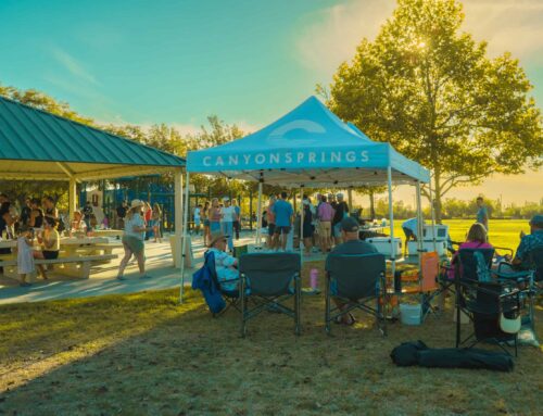 Picnic In The Park Recap