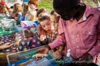 Our Kids (and some adults ;) enjoyed the animals brought in by The Lizard Wizard. https://canyonsprings.org Our Kids (and some adults ;) enjoyed the animals brought in by The Lizard Wizard. https://canyonsprings.org