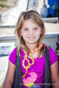 Our Kids (and some adults ;) enjoyed the animals brought in by The Lizard Wizard. https://canyonsprings.org Our Kids (and some adults ;) enjoyed the animals brought in by The Lizard Wizard. https://canyonsprings.org