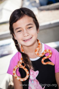 Our Kids (and some adults ;) enjoyed the animals brought in by The Lizard Wizard. https://canyonsprings.org Our Kids (and some adults ;) enjoyed the animals brought in by The Lizard Wizard. https://canyonsprings.org