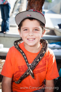 Our Kids (and some adults ;) enjoyed the animals brought in by The Lizard Wizard. https://canyonsprings.org Our Kids (and some adults ;) enjoyed the animals brought in by The Lizard Wizard. https://canyonsprings.org