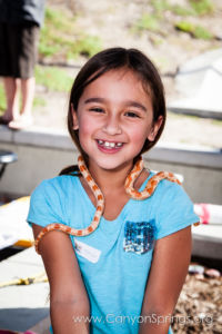 Our Kids (and some adults ;) enjoyed the animals brought in by The Lizard Wizard. https://canyonsprings.org Our Kids (and some adults ;) enjoyed the animals brought in by The Lizard Wizard. https://canyonsprings.org