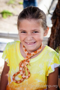 Our Kids (and some adults ;) enjoyed the animals brought in by The Lizard Wizard. https://canyonsprings.org Our Kids (and some adults ;) enjoyed the animals brought in by The Lizard Wizard. https://canyonsprings.org