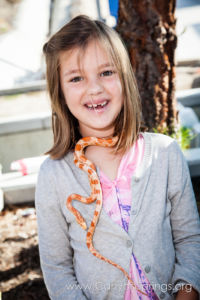 Our Kids (and some adults ;) enjoyed the animals brought in by The Lizard Wizard. https://canyonsprings.org Our Kids (and some adults ;) enjoyed the animals brought in by The Lizard Wizard. https://canyonsprings.org