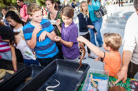 Our Kids (and some adults ;) enjoyed the animals brought in by The Lizard Wizard. https://canyonsprings.org Our Kids (and some adults ;) enjoyed the animals brought in by The Lizard Wizard. https://canyonsprings.org