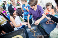 Our Kids (and some adults ;) enjoyed the animals brought in by The Lizard Wizard. https://canyonsprings.org Our Kids (and some adults ;) enjoyed the animals brought in by The Lizard Wizard. https://canyonsprings.org