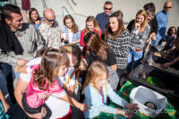 Our Kids (and some adults ;) enjoyed the animals brought in by The Lizard Wizard. https://canyonsprings.org Our Kids (and some adults ;) enjoyed the animals brought in by The Lizard Wizard. https://canyonsprings.org