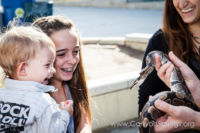 Our Kids (and some adults ;) enjoyed the animals brought in by The Lizard Wizard. https://canyonsprings.org Our Kids (and some adults ;) enjoyed the animals brought in by The Lizard Wizard. https://canyonsprings.org