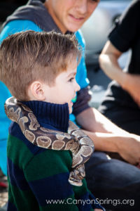 Our Kids (and some adults ;) enjoyed the animals brought in by The Lizard Wizard. https://canyonsprings.org Our Kids (and some adults ;) enjoyed the animals brought in by The Lizard Wizard. https://canyonsprings.org