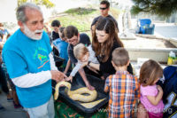 Our Kids (and some adults ;) enjoyed the animals brought in by The Lizard Wizard. https://canyonsprings.org Our Kids (and some adults ;) enjoyed the animals brought in by The Lizard Wizard. https://canyonsprings.org