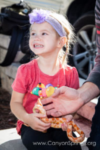 Our Kids (and some adults ;) enjoyed the animals brought in by The Lizard Wizard. https://canyonsprings.org Our Kids (and some adults ;) enjoyed the animals brought in by The Lizard Wizard. https://canyonsprings.org