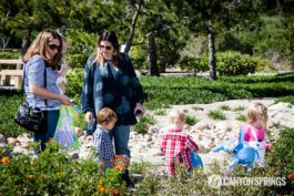 Backwards Easter Egg Hunt 2016 https://canyonsprings.org