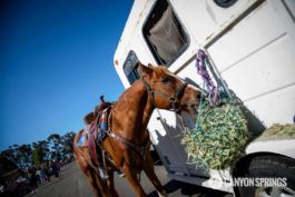 Canyon Springs Church at the 2016 Scripps Ranch 4th of July Parade. Learn more at https://canyonsprings.org