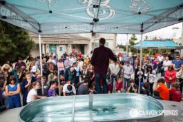 Celebrate Baptisms at Canyon Springs Church! #Baptism Learn more at https://canyonsprings.org