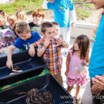Our Kids (and some adults ;) enjoyed the animals brought in by The Lizard Wizard. https://canyonsprings.org