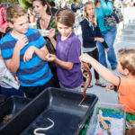 Our Kids (and some adults ;) enjoyed the animals brought in by The Lizard Wizard. https://canyonsprings.org