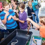 Our Kids (and some adults ;) enjoyed the animals brought in by The Lizard Wizard. https://canyonsprings.org